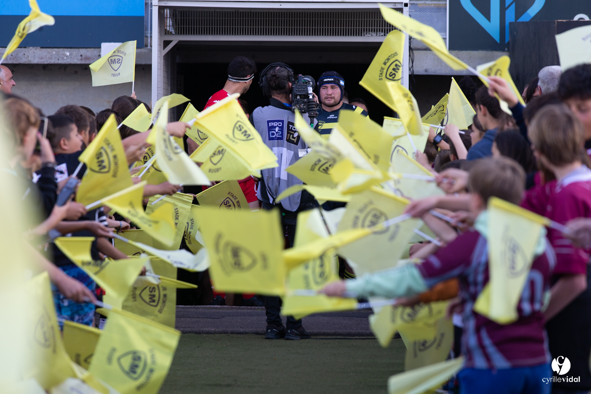 Stade Montois Rugby - Grenoble