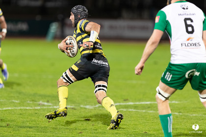 Stade Montois Rugby - Montauban