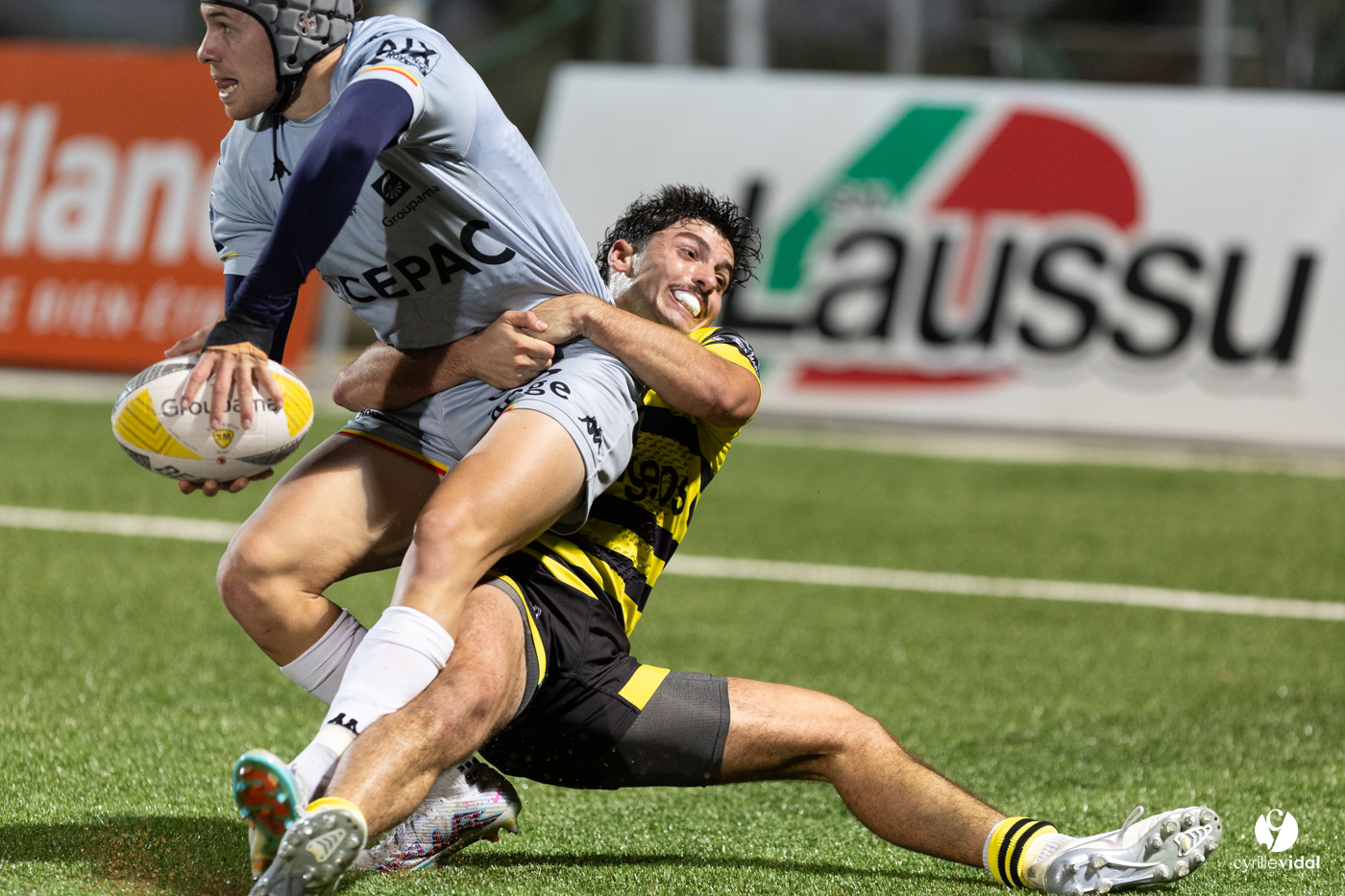 Stade Montois Rugby - Provence