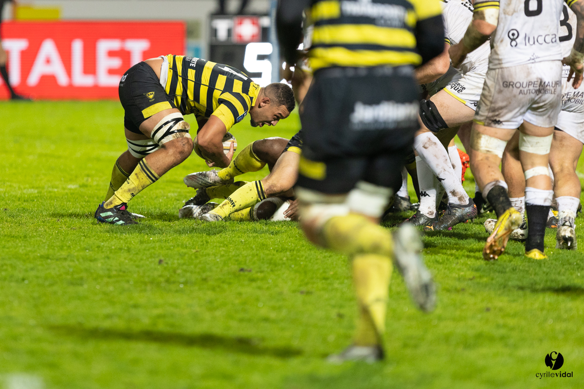Stade Montois Rugby - Carcassonne