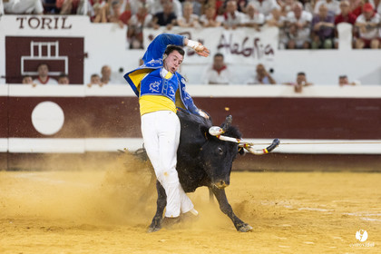 Dax concours landais 2022