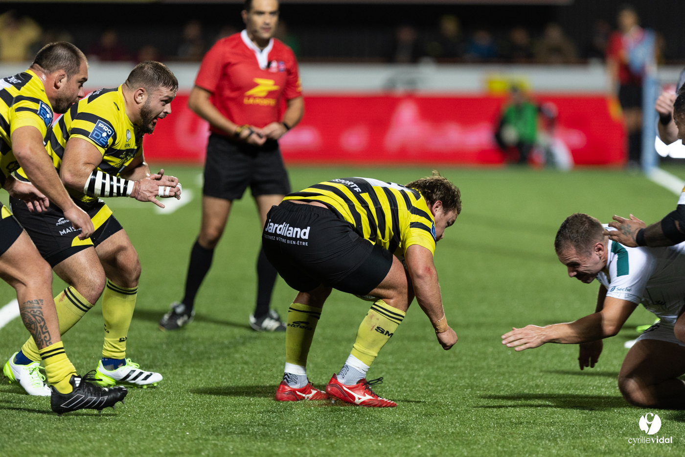 Stade Montois Rugby - Montauban