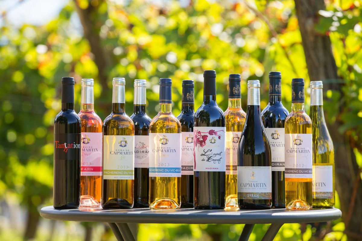 Vignoble Guy et Simon CAPMARTIN