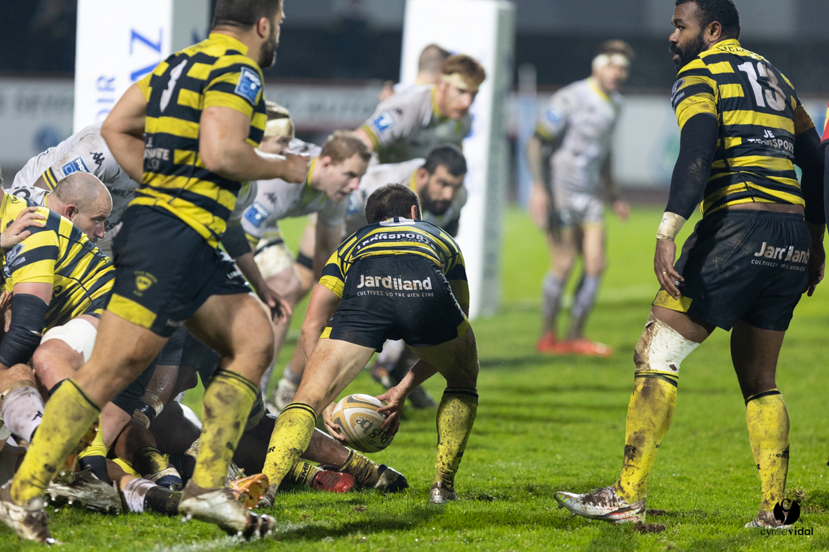 Stade Montois Rugby - Carcassonne