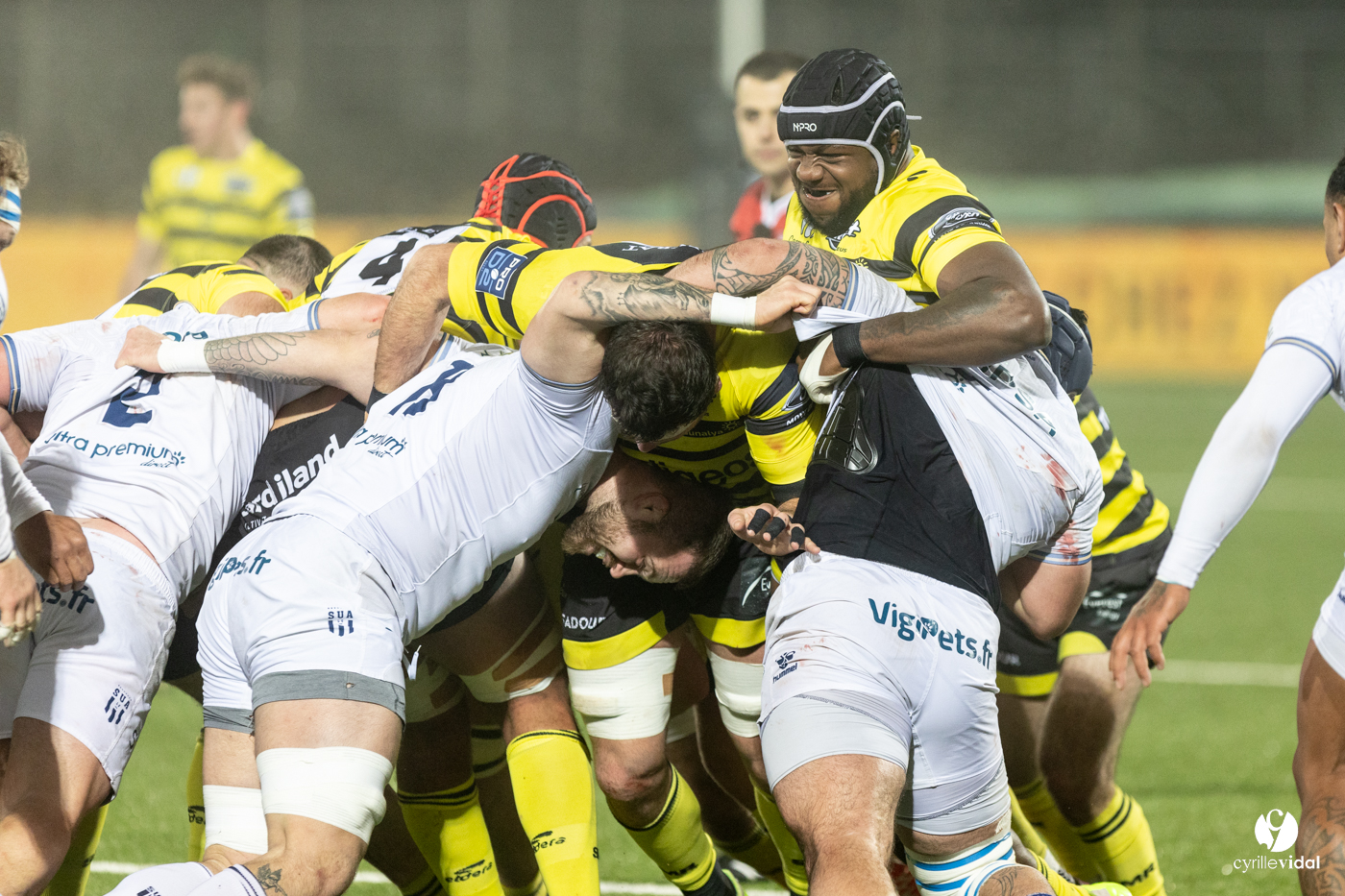 Stade Montois Rugby - Agen
