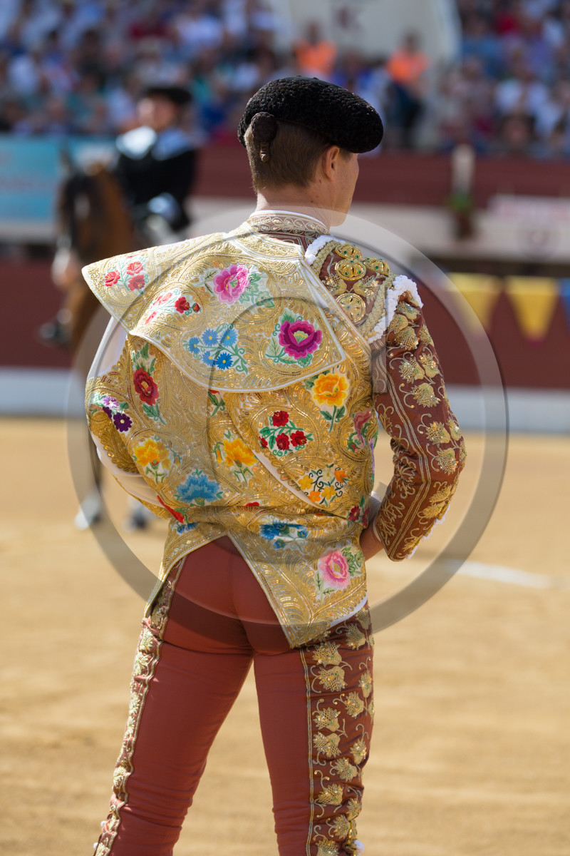 corrida, toro, vic fezensac, alcurrucen, michelito, morenito de aranda