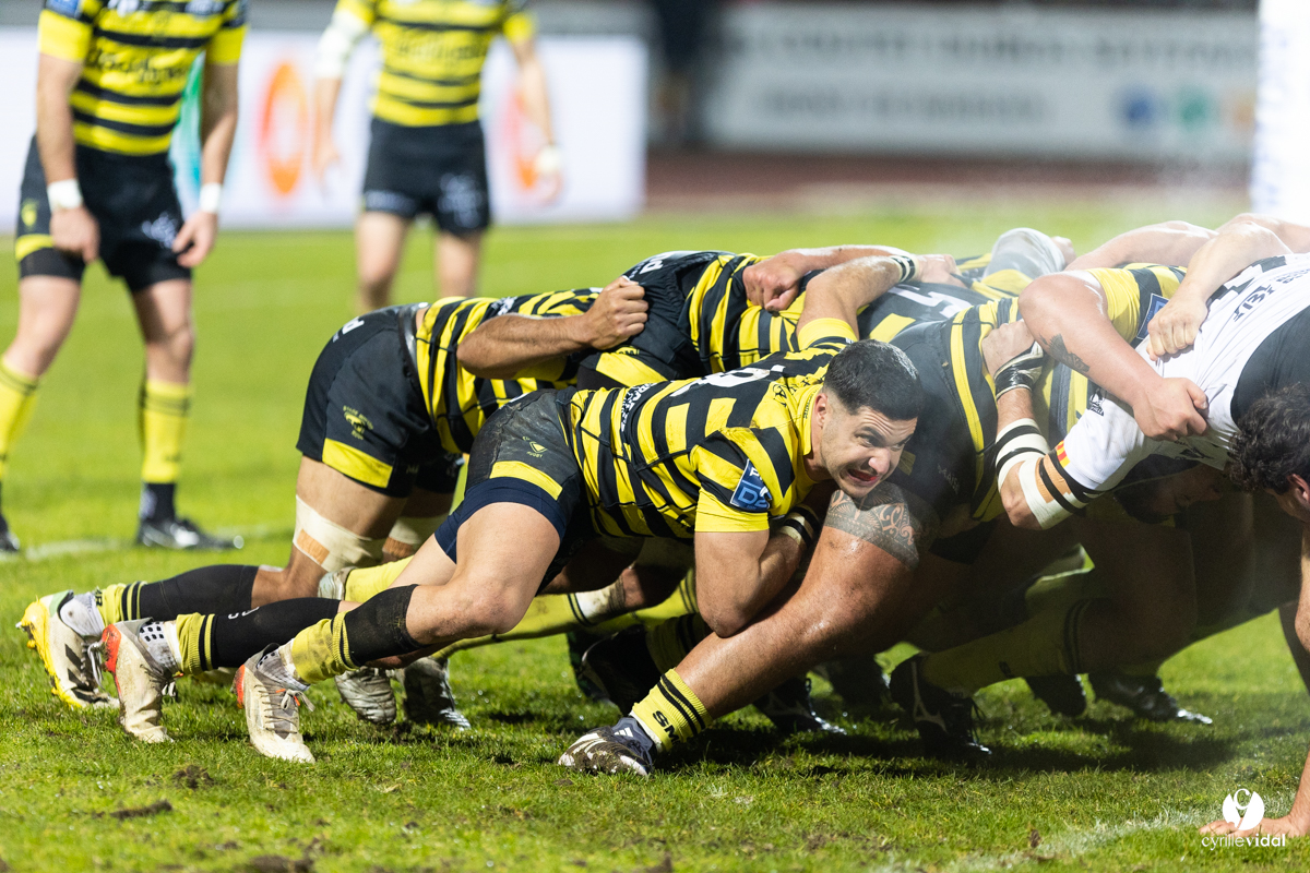 Stade Montois Rugby - Provence