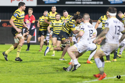 Stade Montois Rugby - Carcassonne