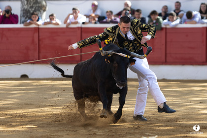 Nogaro Championnat de France de course landaise 2022