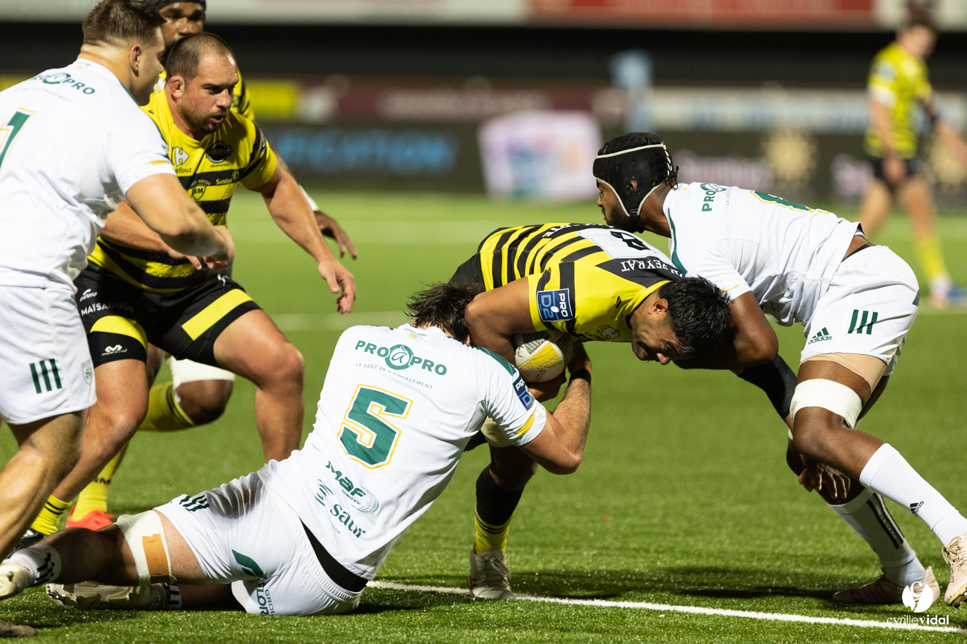 Stade Montois Rugby - Montauban
