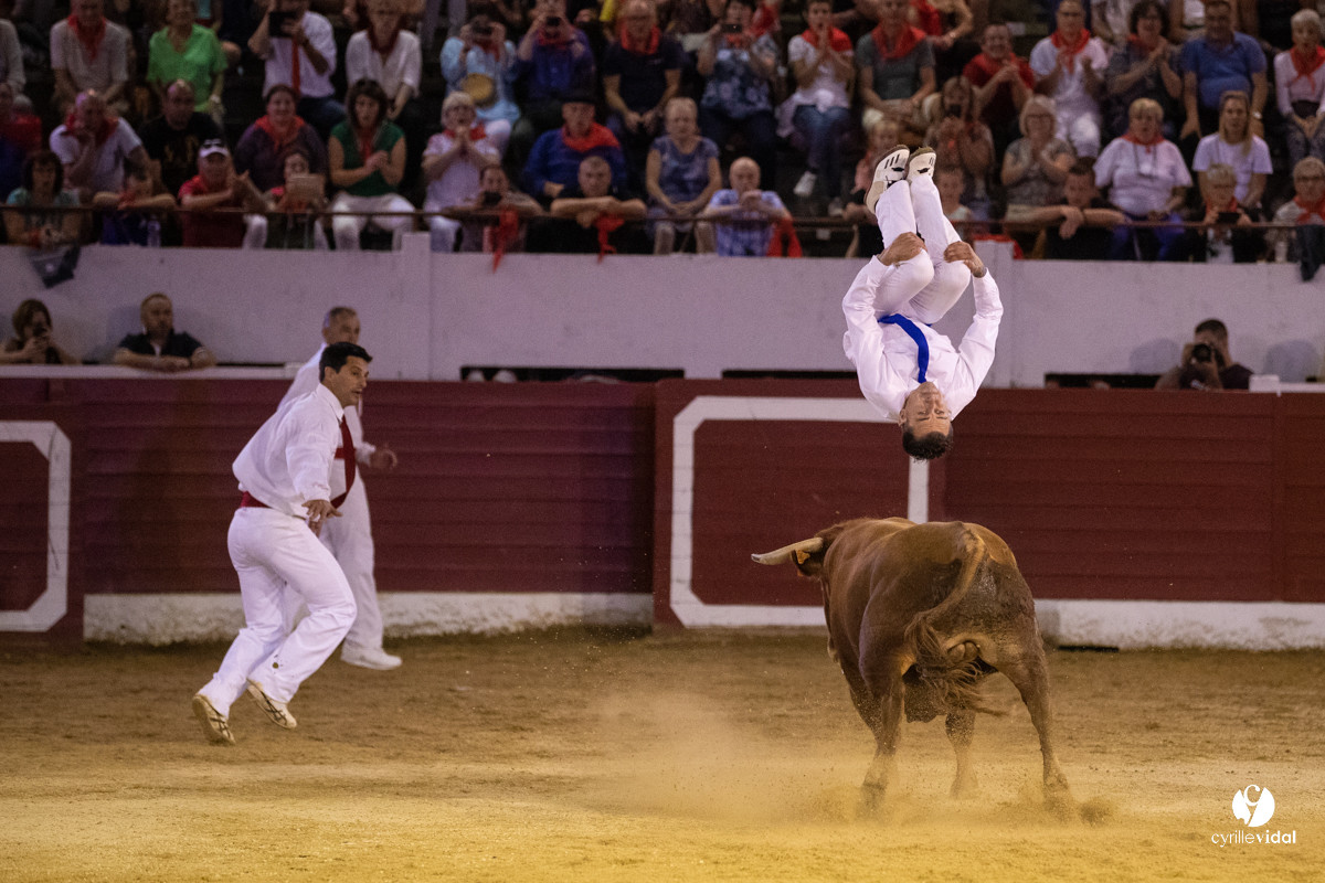 Landes émotions à Aire-sur-l'Adour