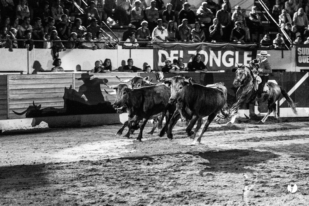 Landes émotions à Aire-sur-l'Adour