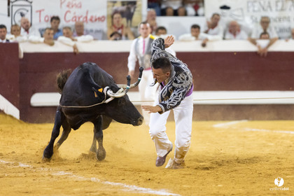 Dax concours landais 2022