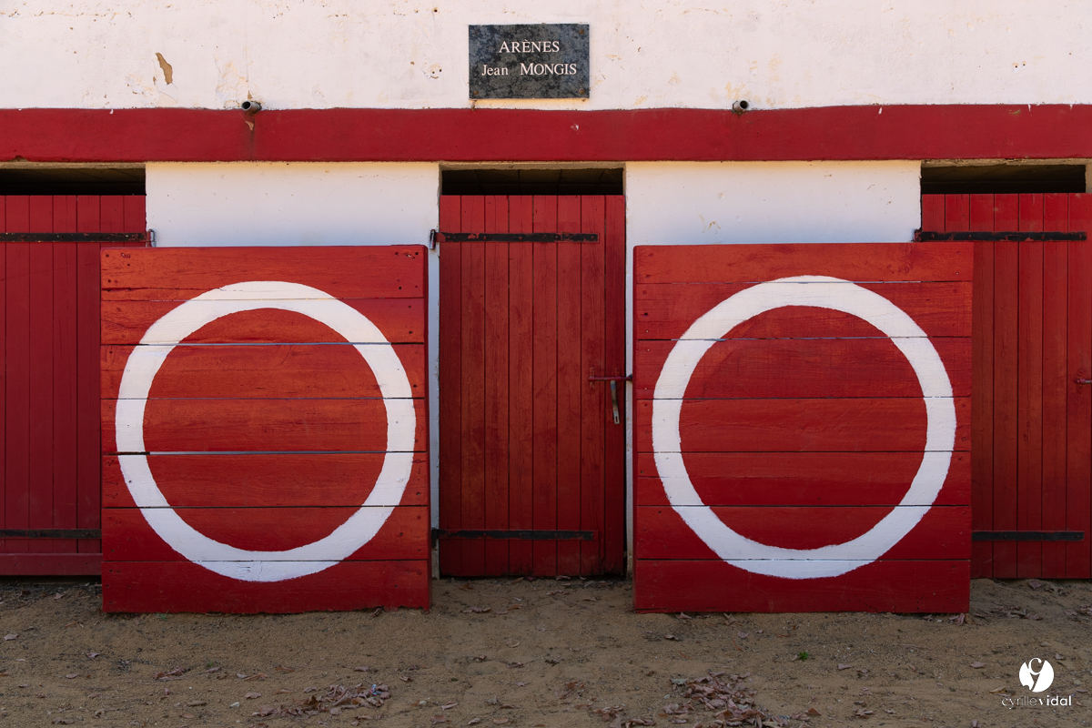 Course landaise à Panjas