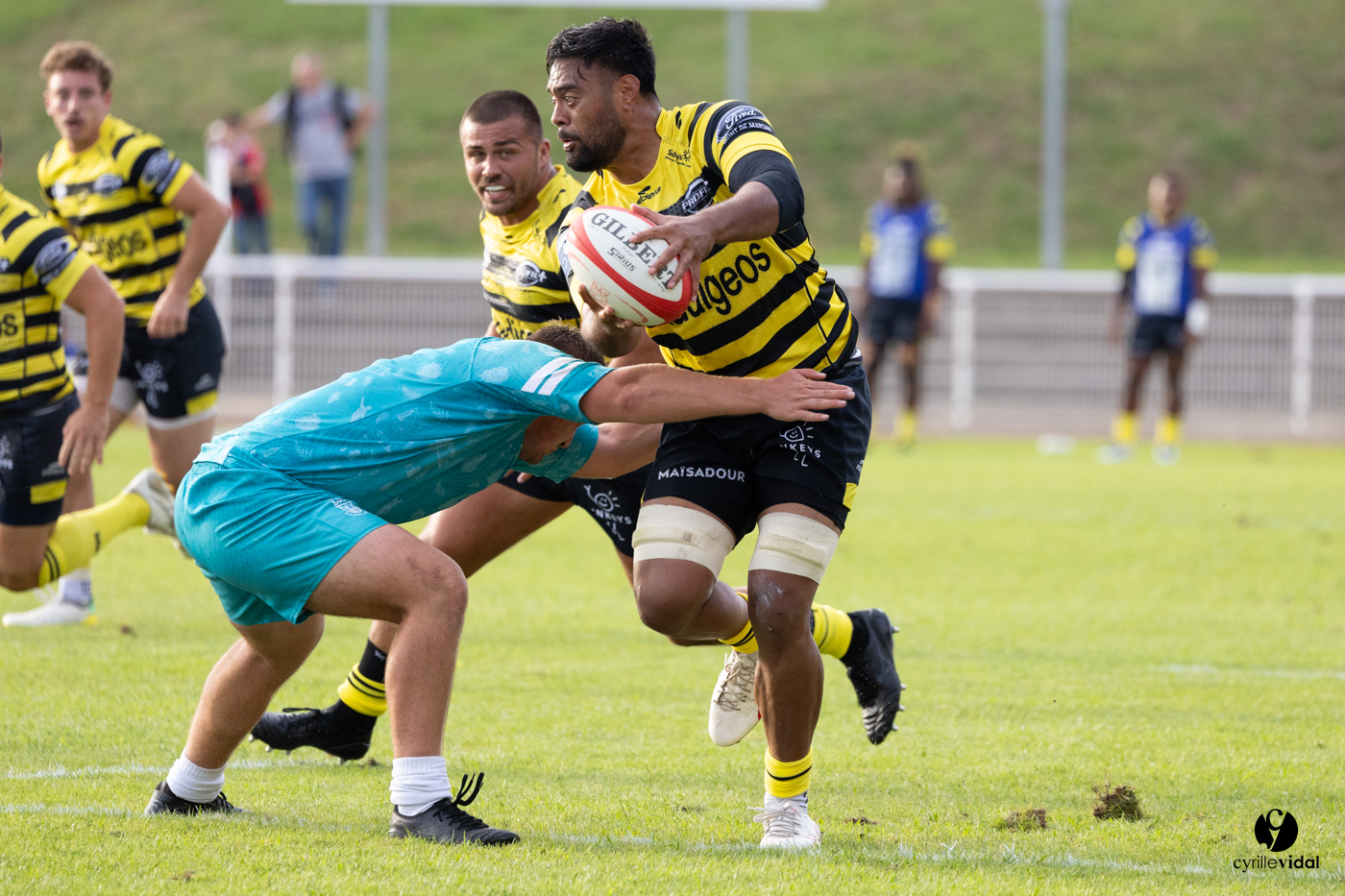 Dax - Stade Montois Rugby