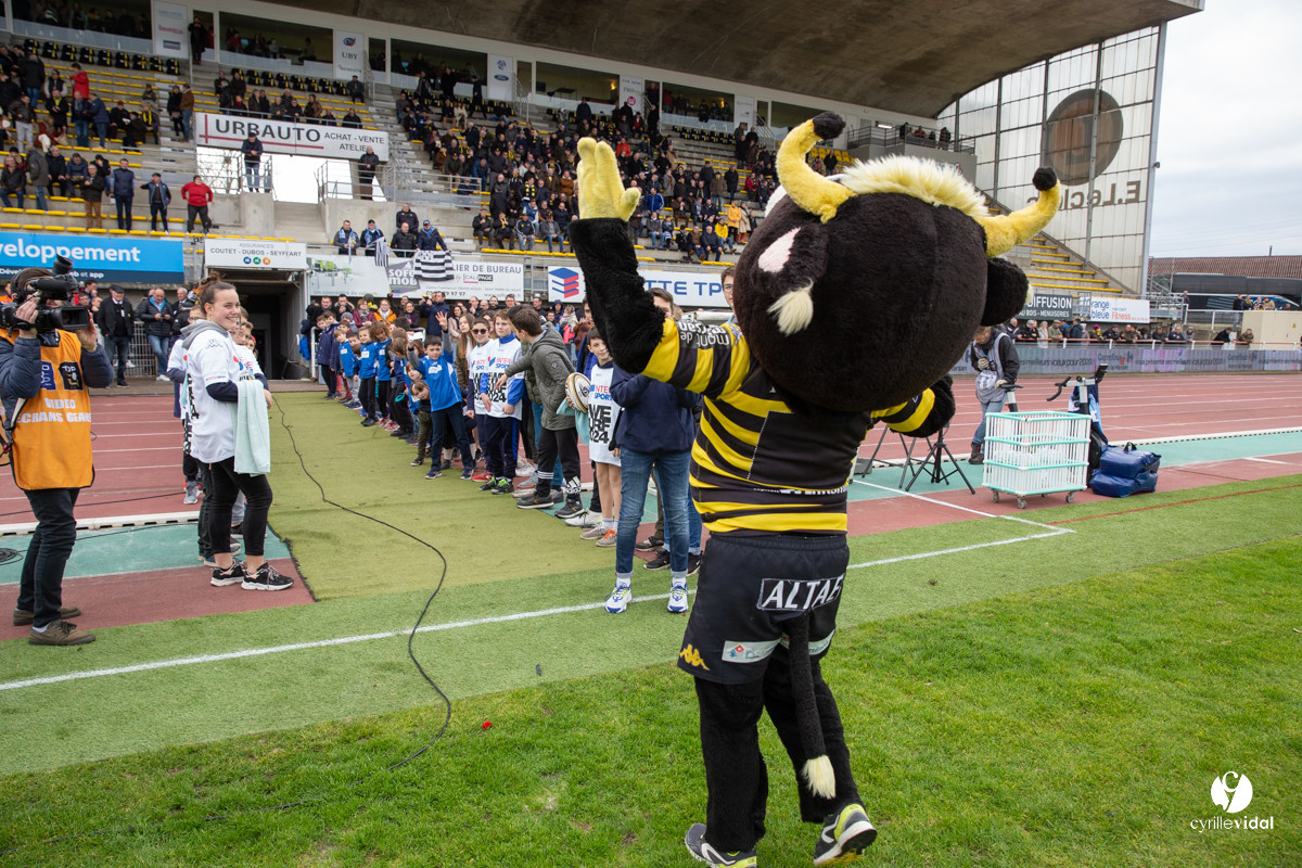 Stade Montois Rugby - Vannes