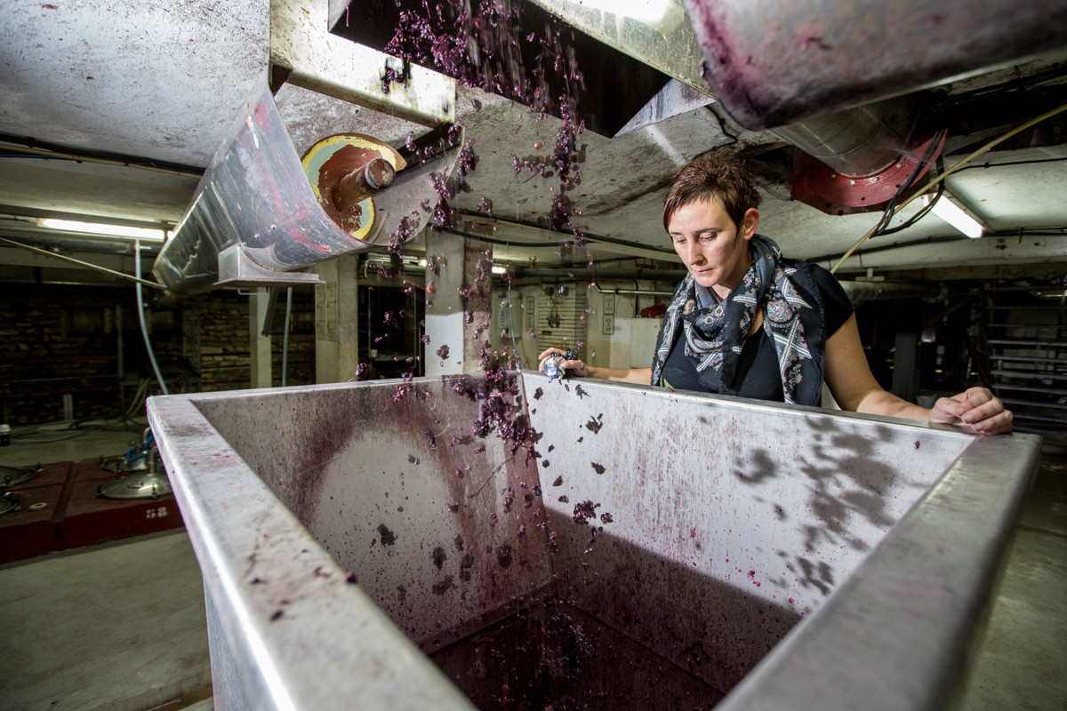 Cave de Labastide de Lévis