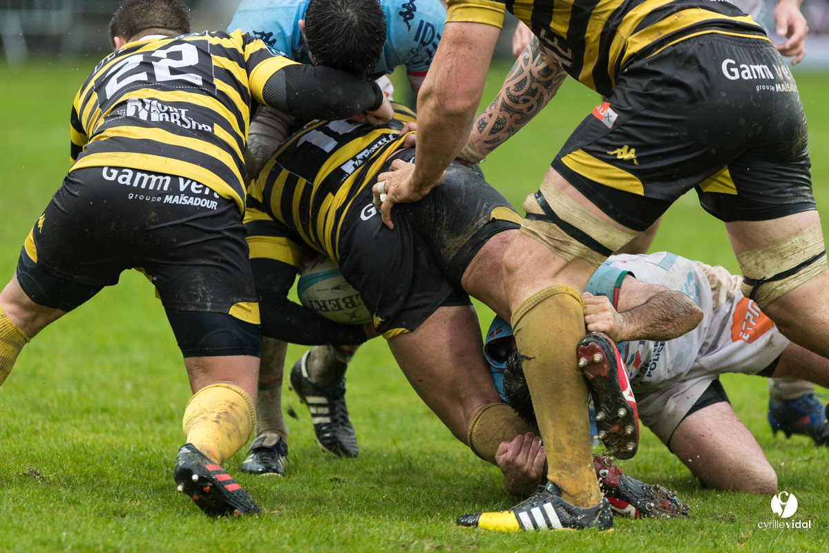 Bayonne - Stade Montois