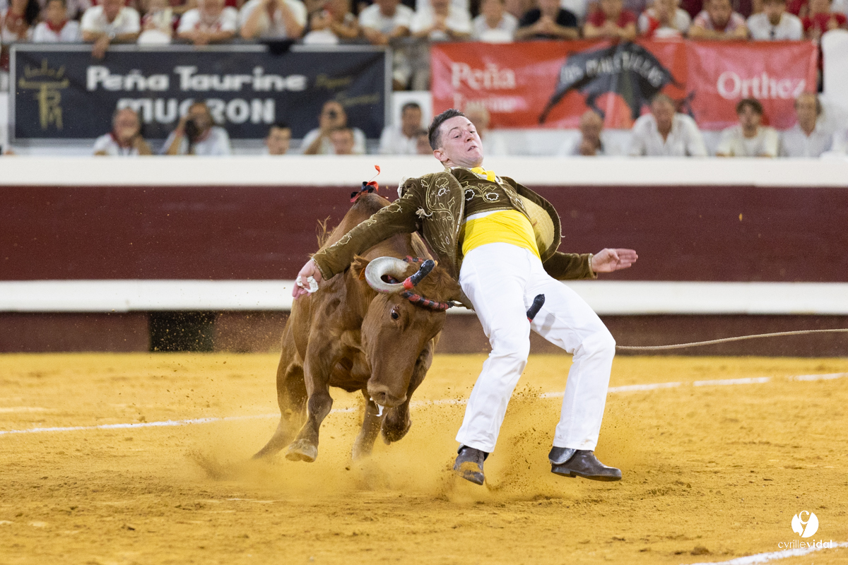Dax concours landais 2022