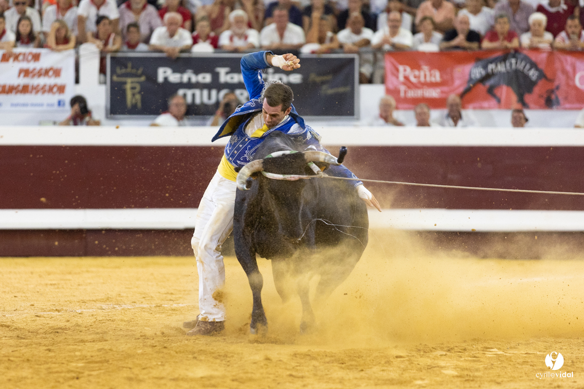Dax concours landais 2022