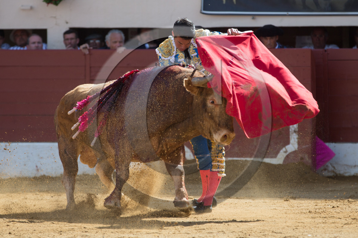 corrida, toro, vic fezensac, alcurrucen, michelito, morenito de aranda
