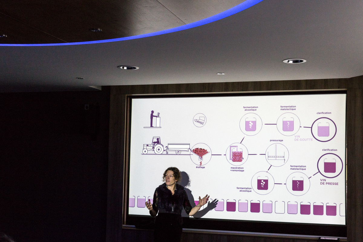 Cave de Labastide de Lévis