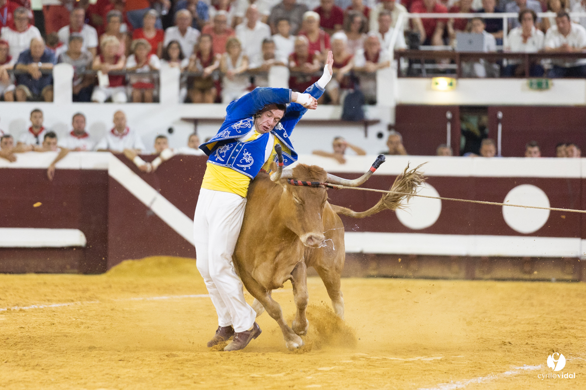 Dax concours landais 2022