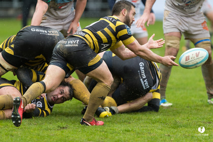 Bayonne - Stade Montois