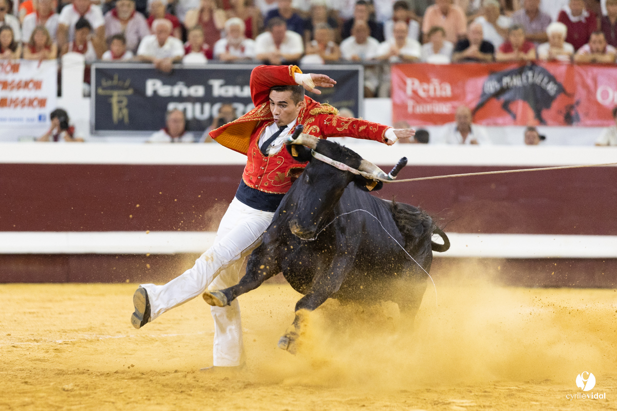 Dax concours landais 2022