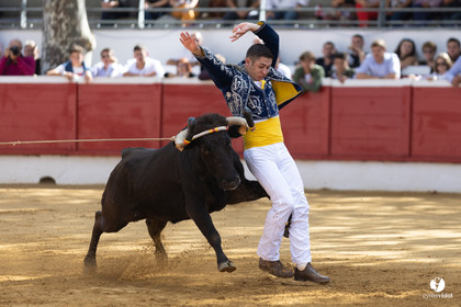 Nogaro Championnat de France de course landaise 2022