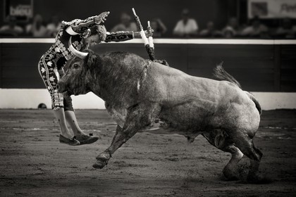 2014-07-17-2354 NB.jpg