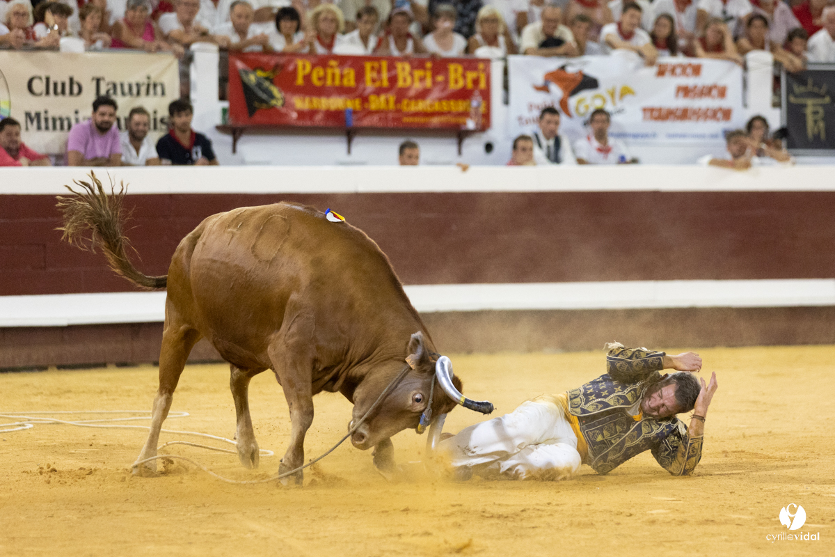 Dax concours landais 2022