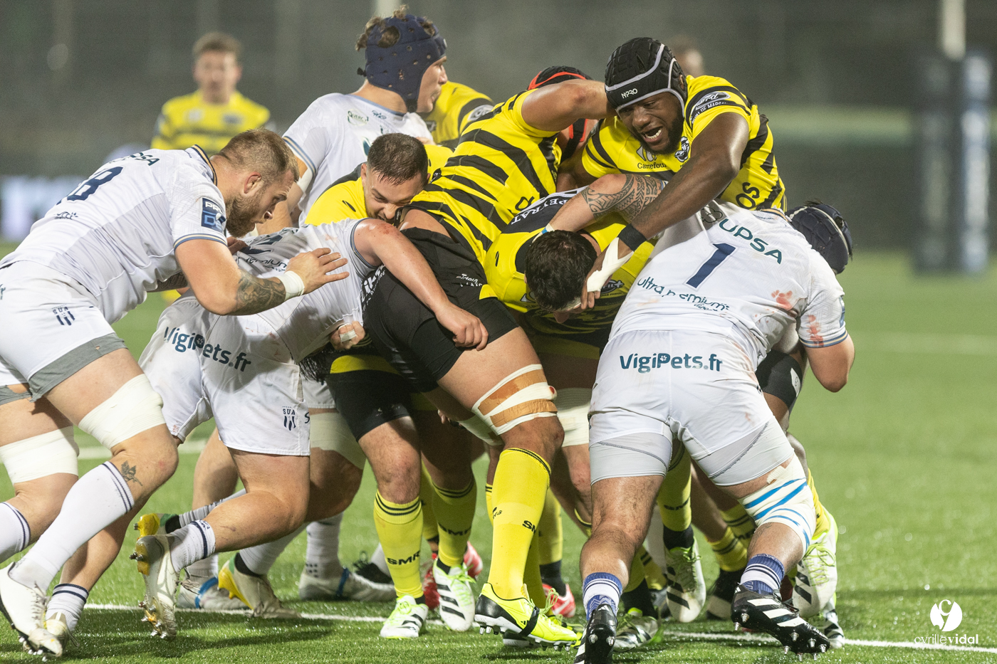 Stade Montois Rugby - Agen