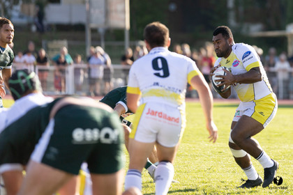 Stade Montois Rugby - Section Paloise