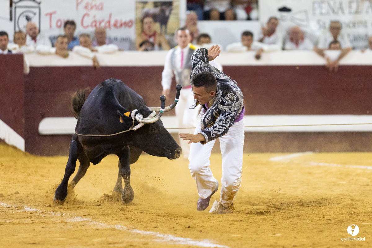 Dax concours landais 2022