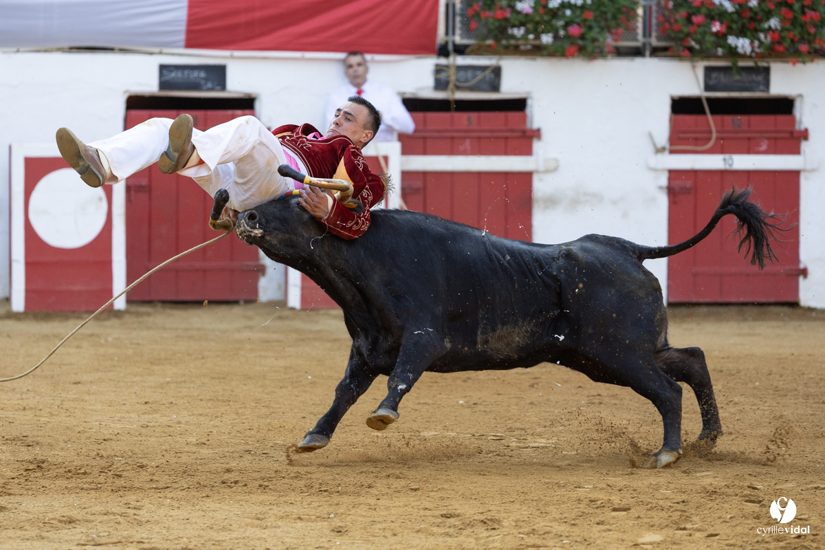 Nogaro Corne d'Or 2023