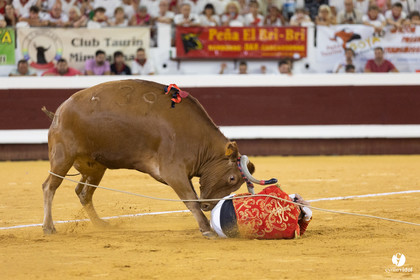 Dax concours landais 2022