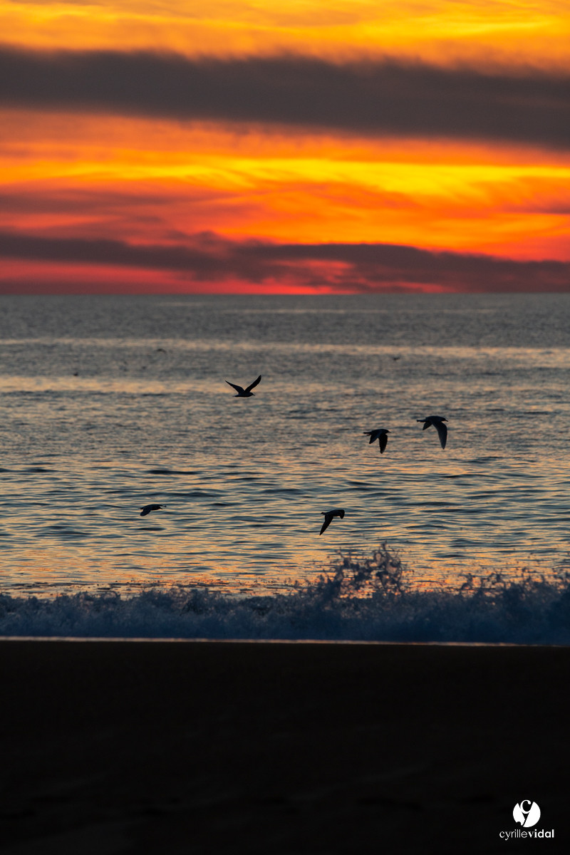 Océan Capbreton - Hossegor et Lac