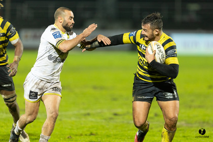 Stade Montois Rugby - Carcassonne