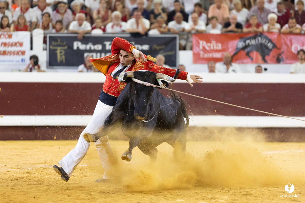 Dax concours landais 2022