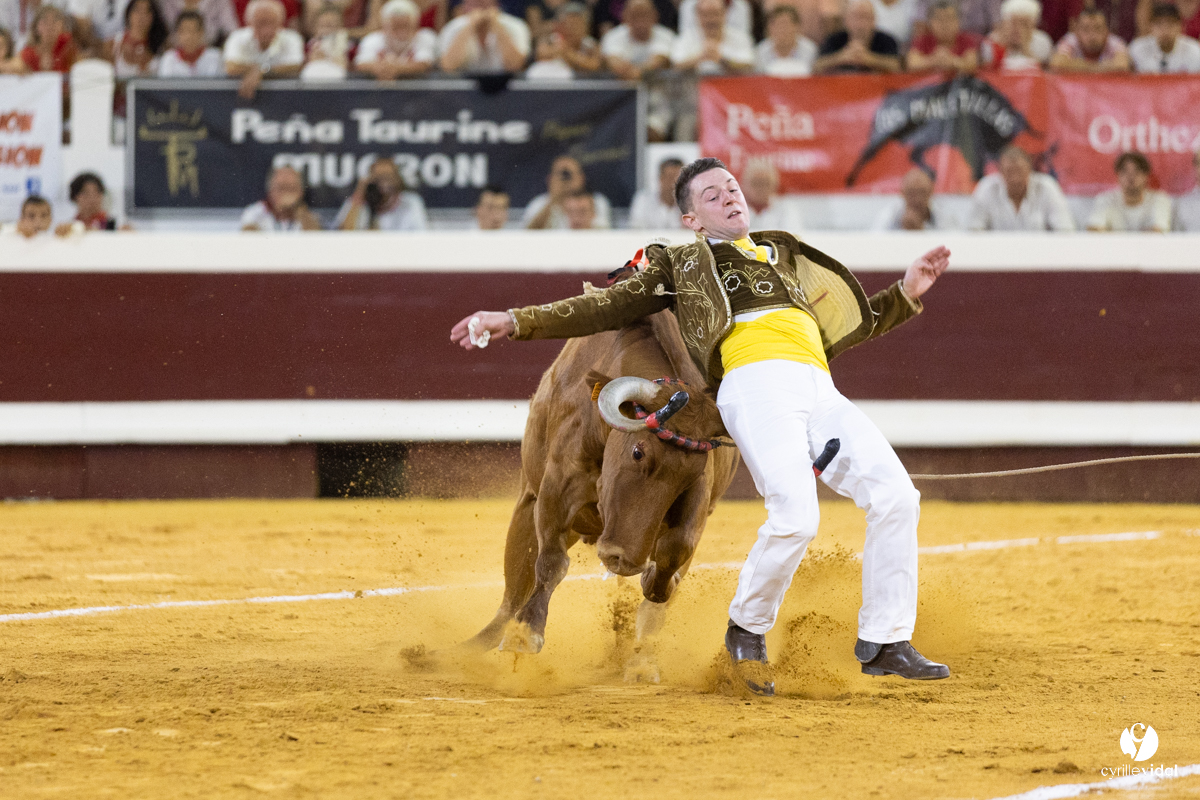 Dax concours landais 2022