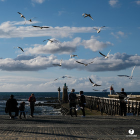 Océan Capbreton - Hossegor et Lac