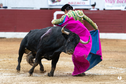 Corrida d'Aire sur l'Adour