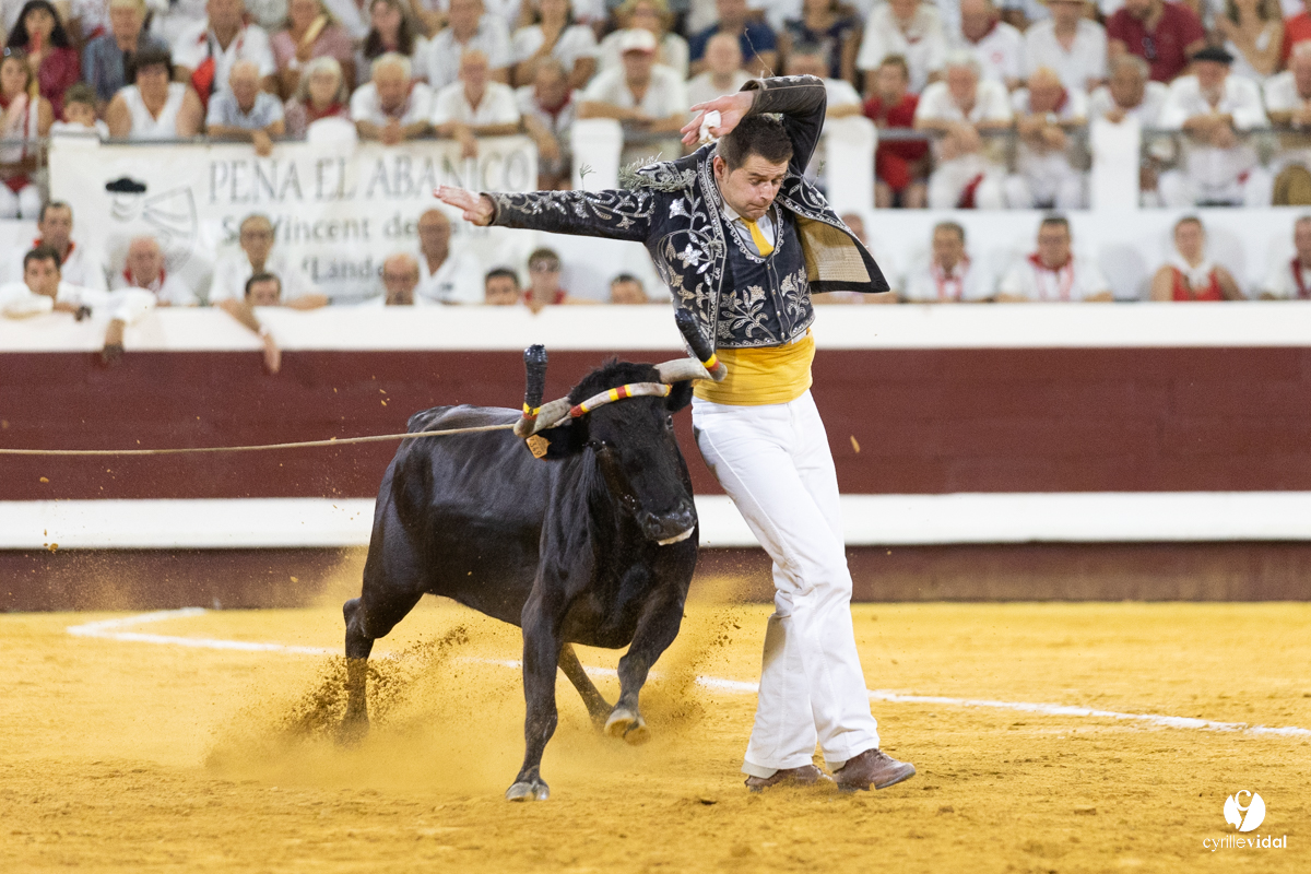 Dax concours landais 2022