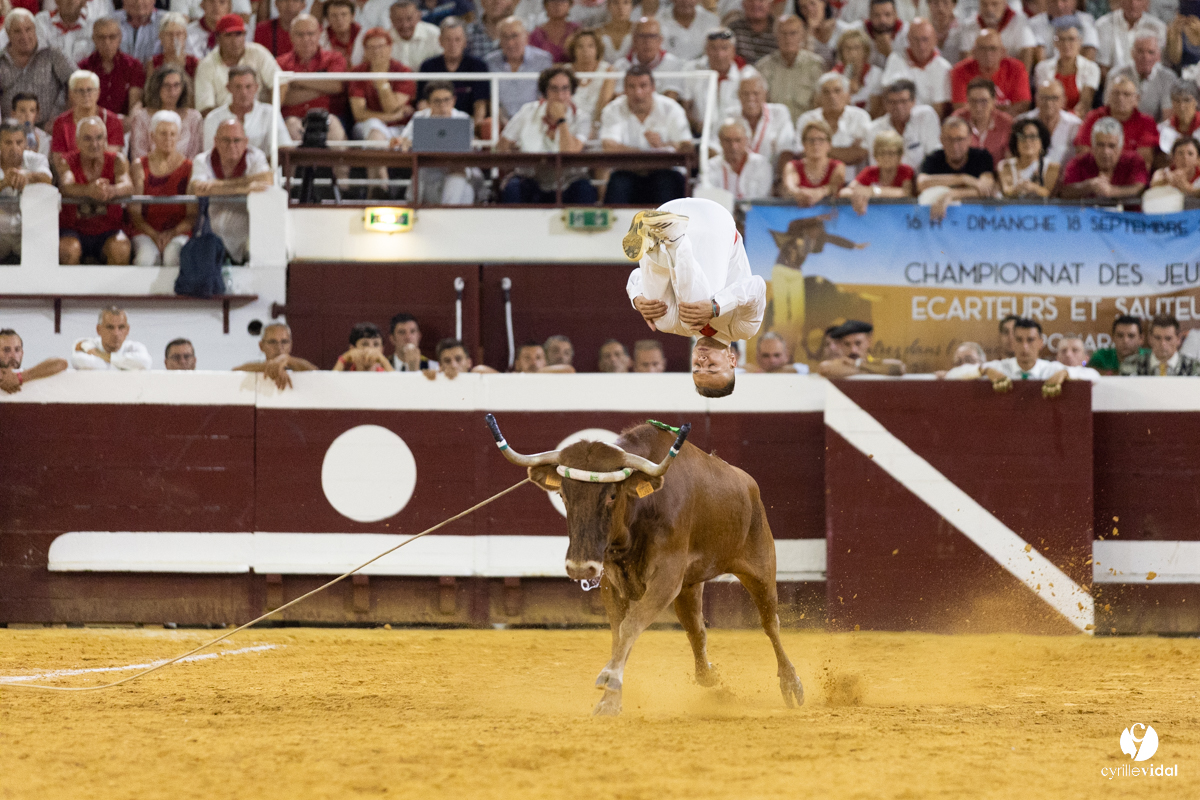 Dax concours landais 2022