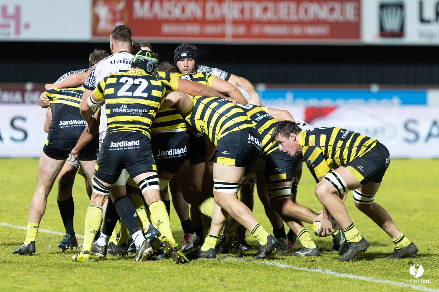 Stade Montois Rugby - Vannes