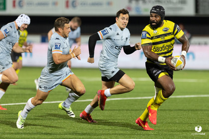 Stade Montois Rugby - Provence