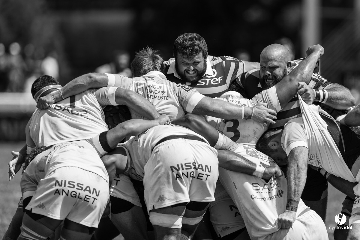 Bayonne - Stade Montois