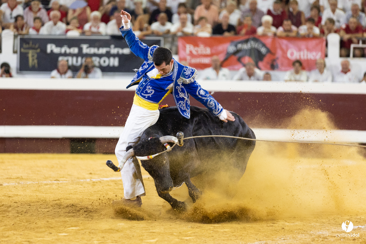Dax concours landais 2022