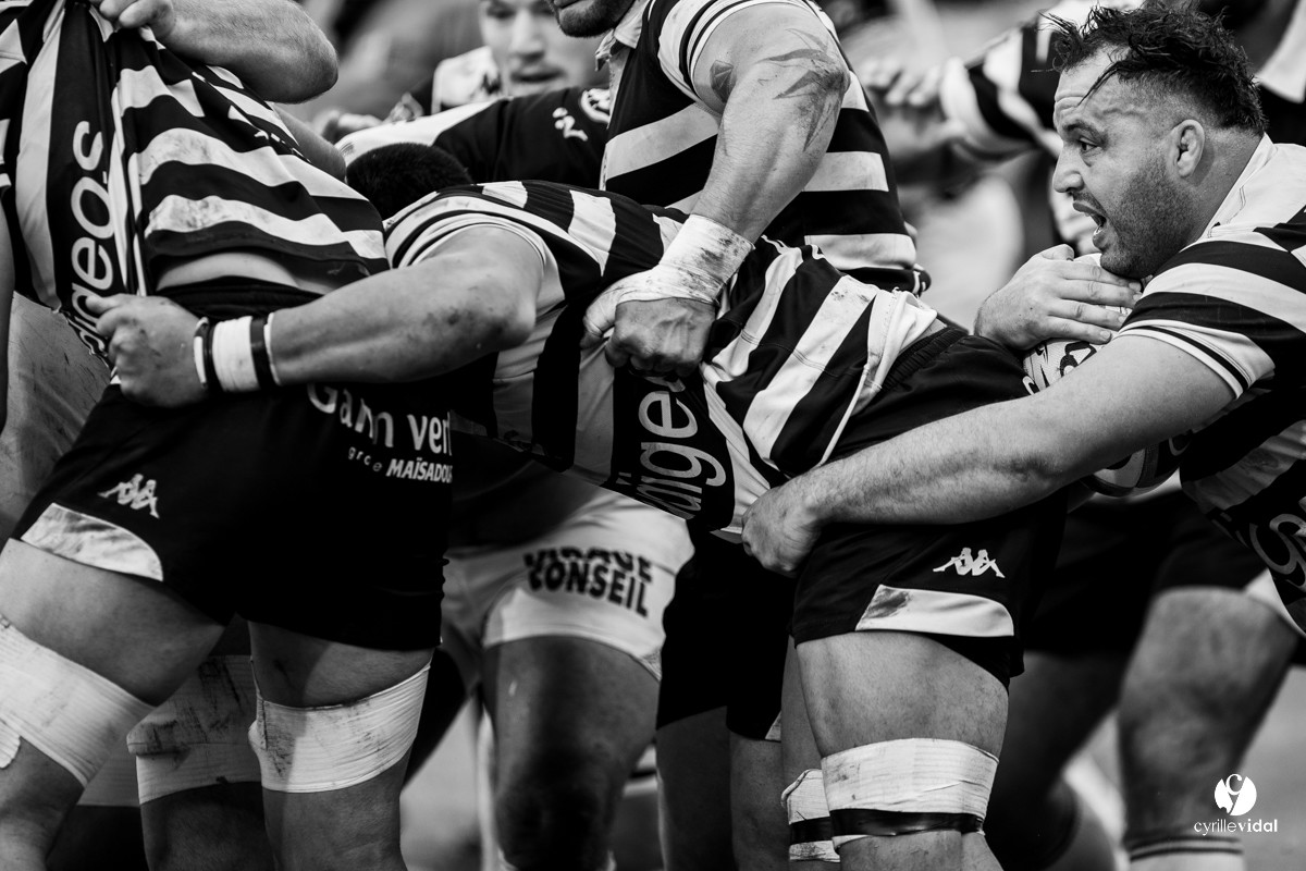 Stade Montois Rugby - Vannes